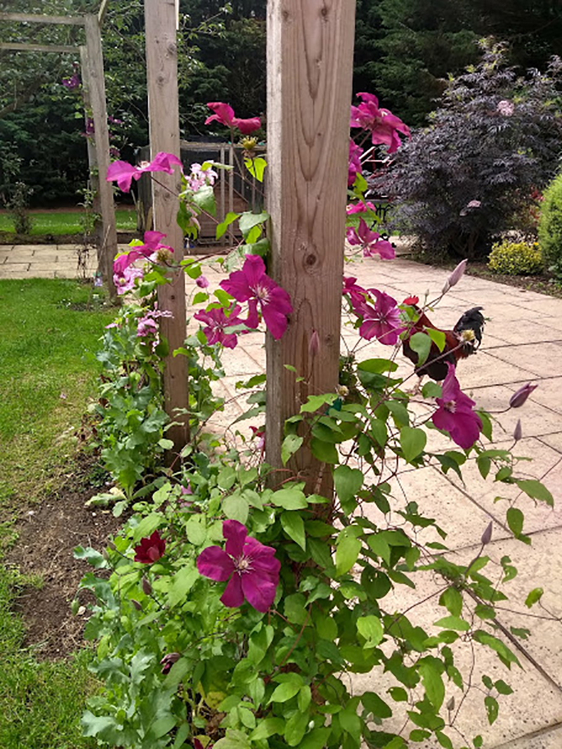 Cherry Garden Nursing Home Ston Easton Close to Bath in Somerset.